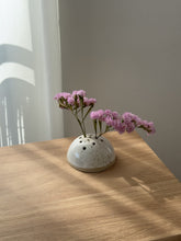 Lade das Bild in den Galerie-Viewer, Blumen Steckling für Trockenblumen