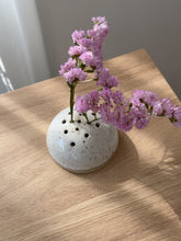 Lade das Bild in den Galerie-Viewer, Blumen Steckling für Trockenblumen