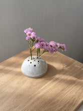Lade das Bild in den Galerie-Viewer, Blumen Steckling für Trockenblumen