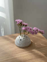 Lade das Bild in den Galerie-Viewer, Blumen Steckling für Trockenblumen