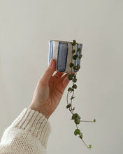 Lade das Bild in den Galerie-Viewer, Mini Blumentopf
