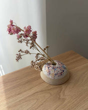 Lade das Bild in den Galerie-Viewer, Blumen Steckling
