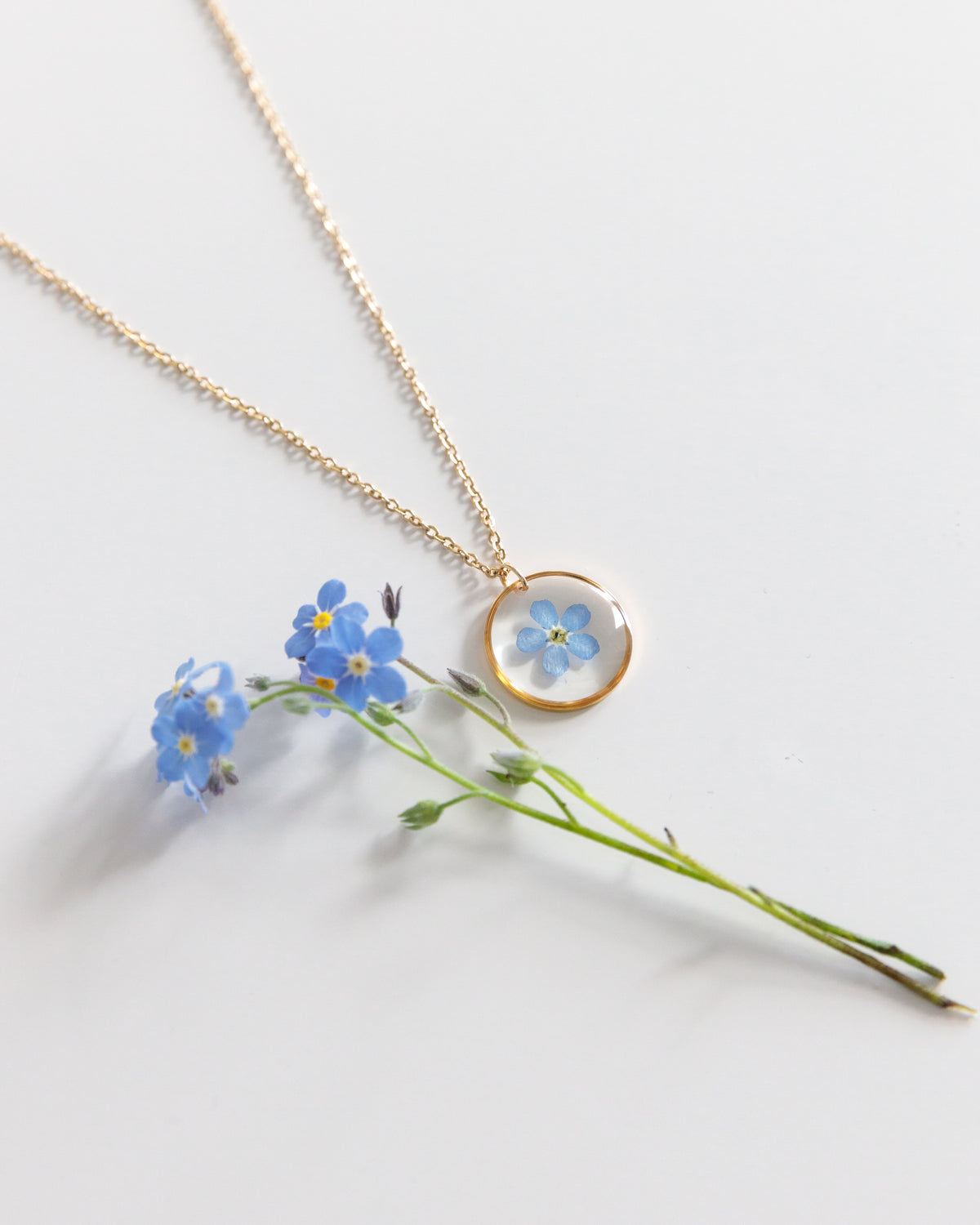 Kette "Pia" mit echtem Vergissmeinnicht, Gold